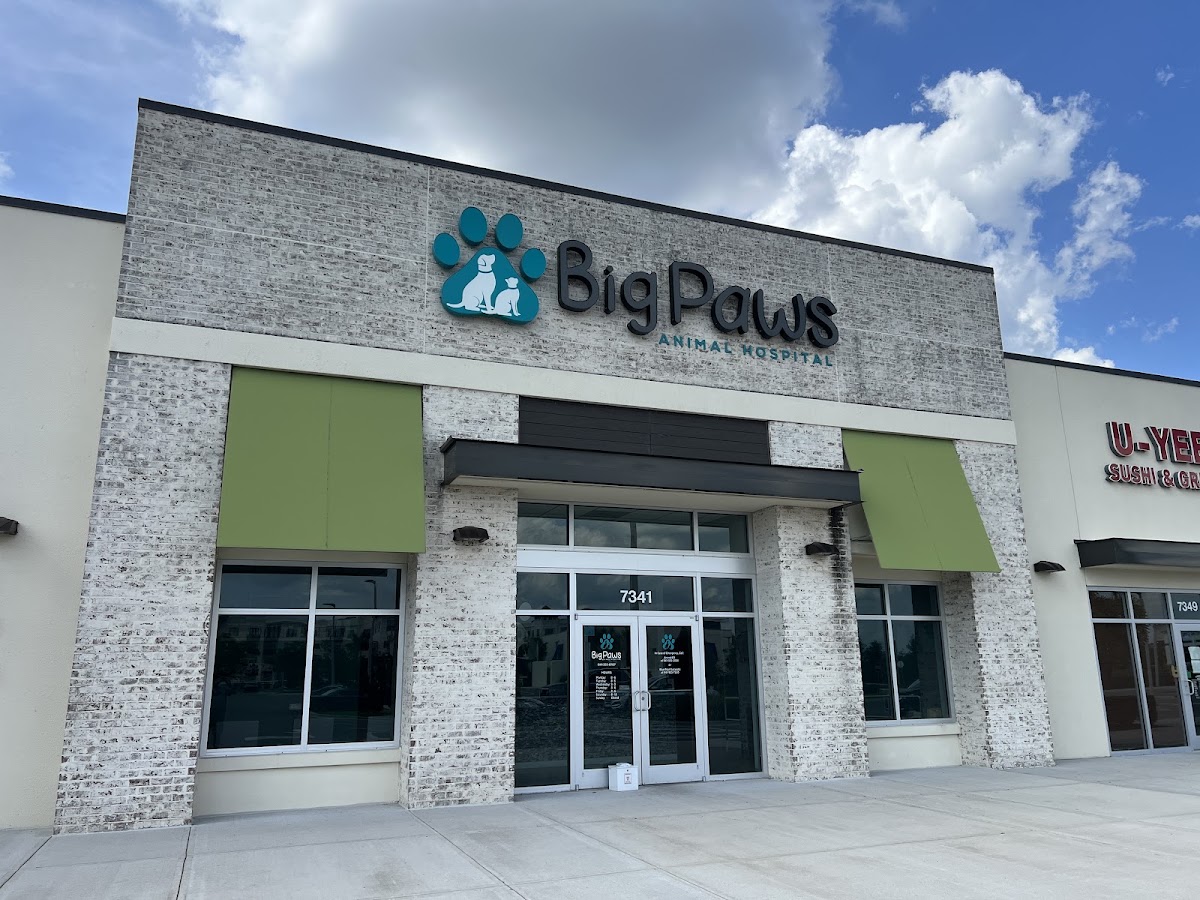 Big Paws Animal Hospital in Lakewood Ranch, FL