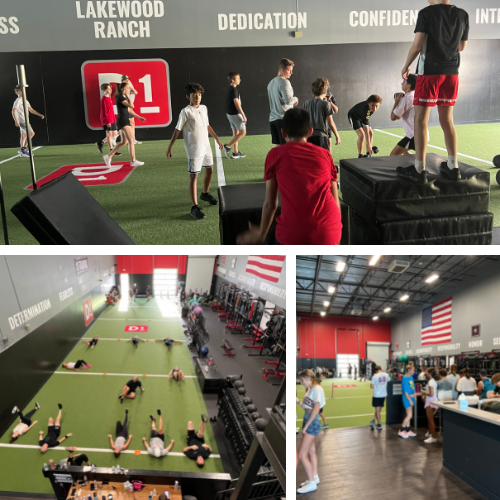 D1 Training Lakewood Ranch in Lakewood Ranch, FL