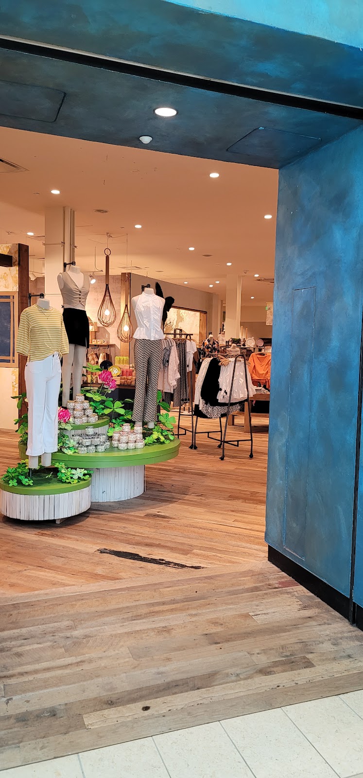 Anthropologie in Lakewood Ranch, FL