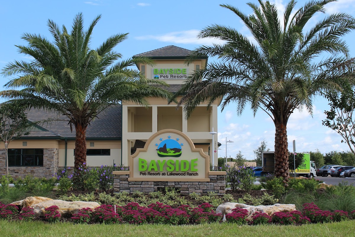 Bayside Pet Resort in Lakewood Ranch, FL