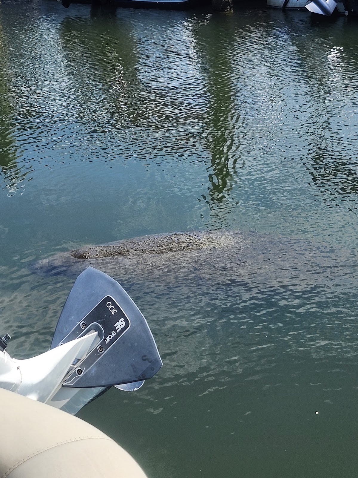 Innovation Marina in Lakewood Ranch, FL