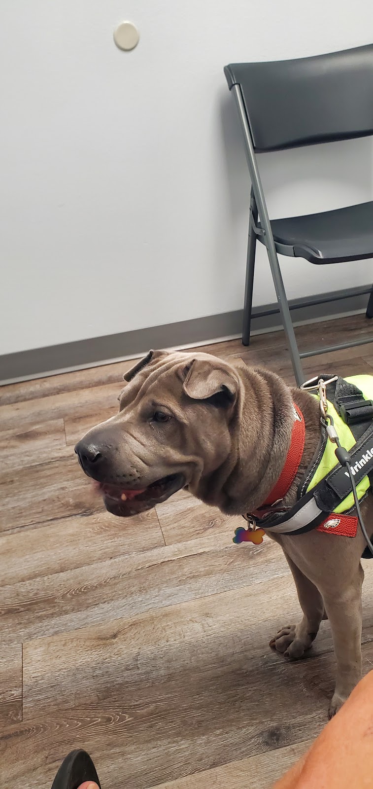 The Pet Clinic of Bradenton in Lakewood Ranch, FL
