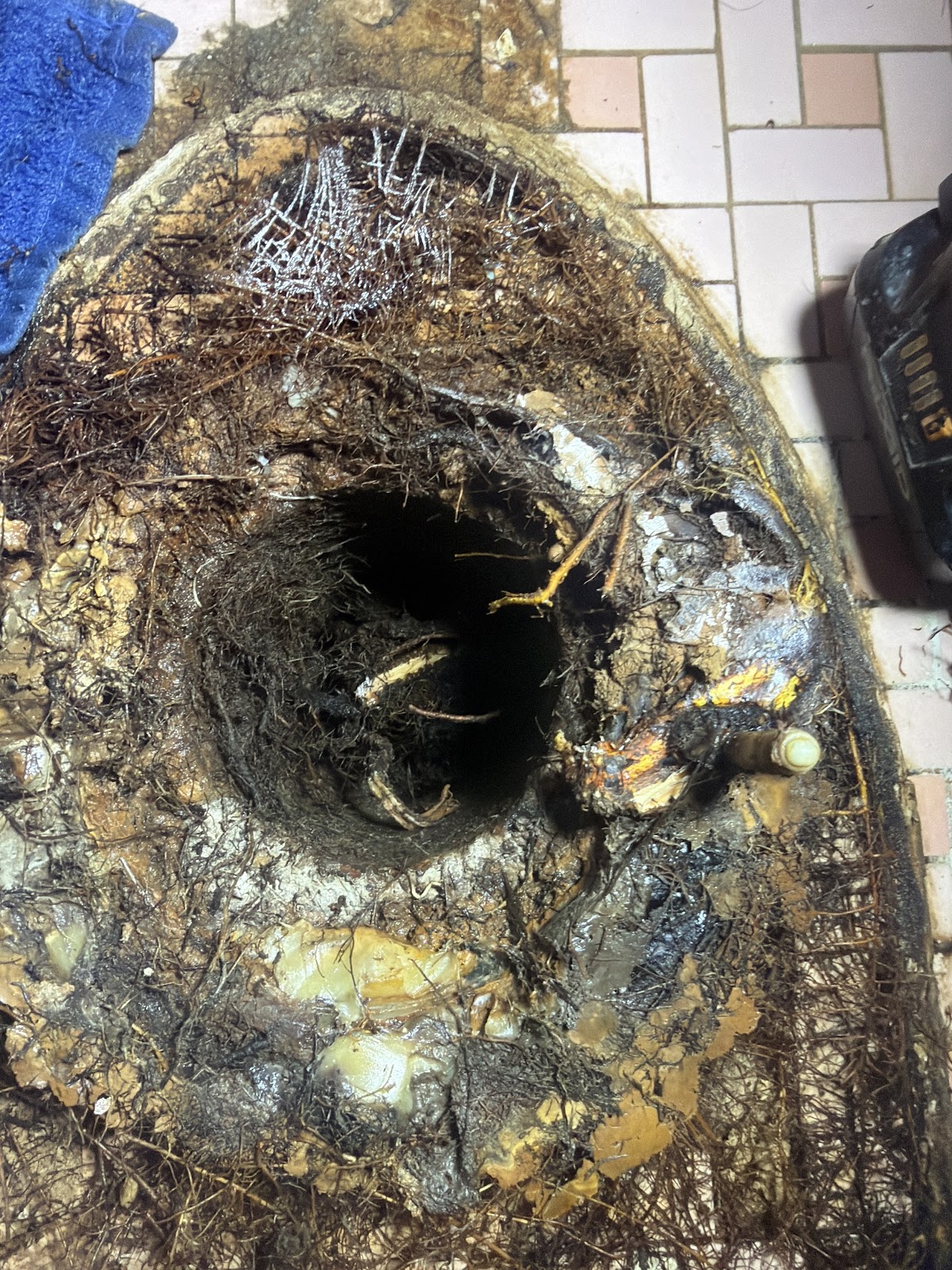 Armstrong Bros Plumbing in Lakewood Ranch, FL