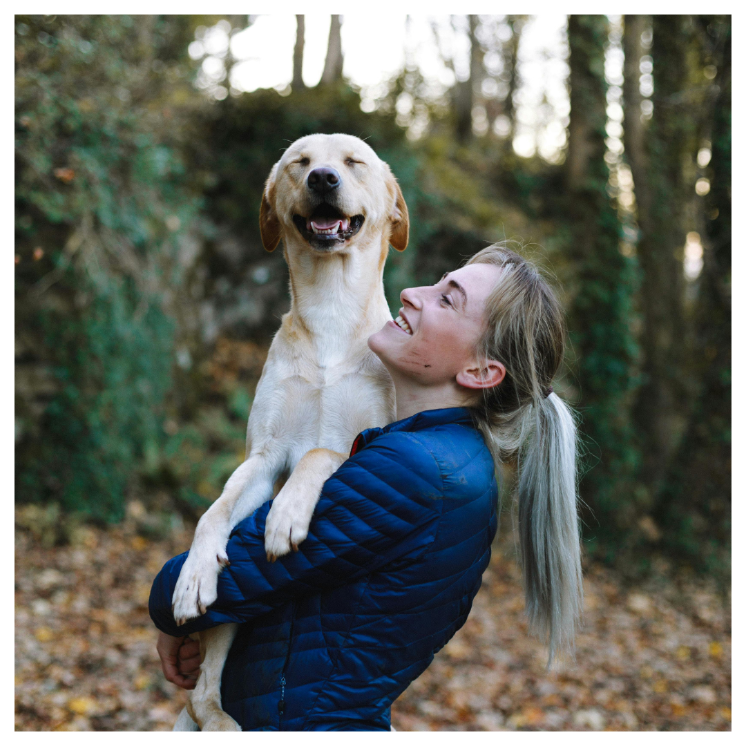 Wellness Animal Hospital - Bradenton in Lakewood Ranch, FL