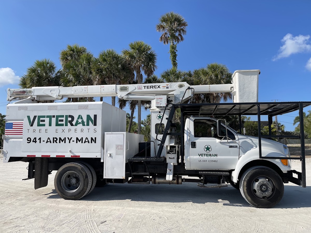 Veteran Tree Experts in Lakewood Ranch, FL