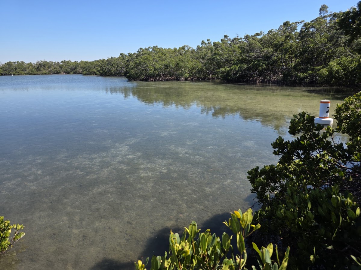Ted Sperling Park Nature Trail in Lakewood Ranch, FL