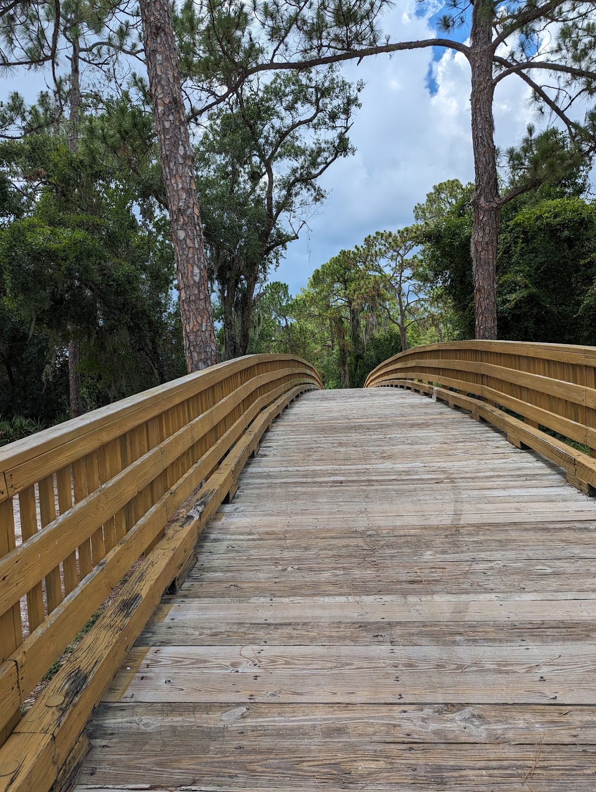 Greenbrook Adventure Park For Families! in Lakewood Ranch, FL
