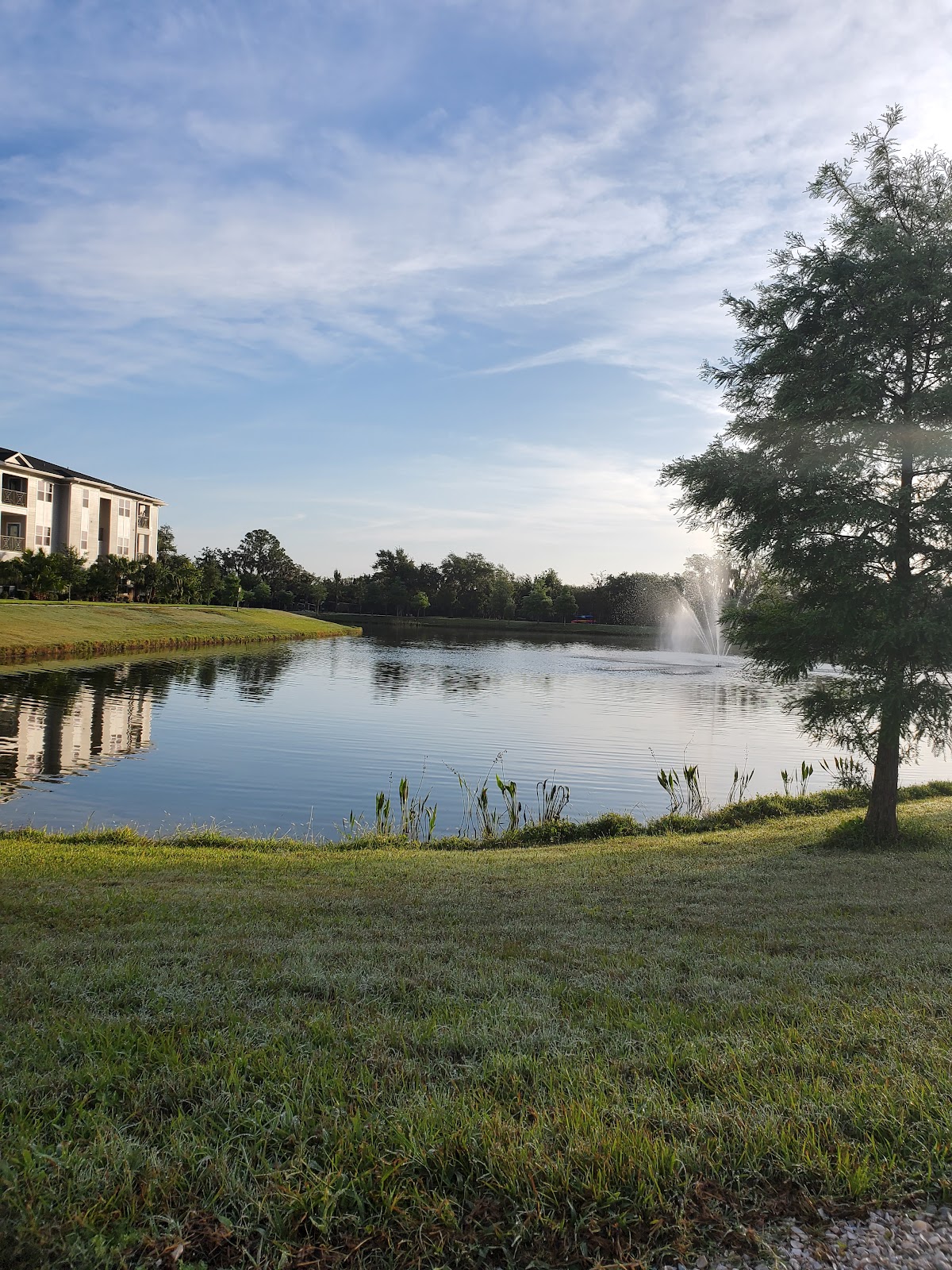Imagine School At Lakewood Ranch in Lakewood Ranch, FL
