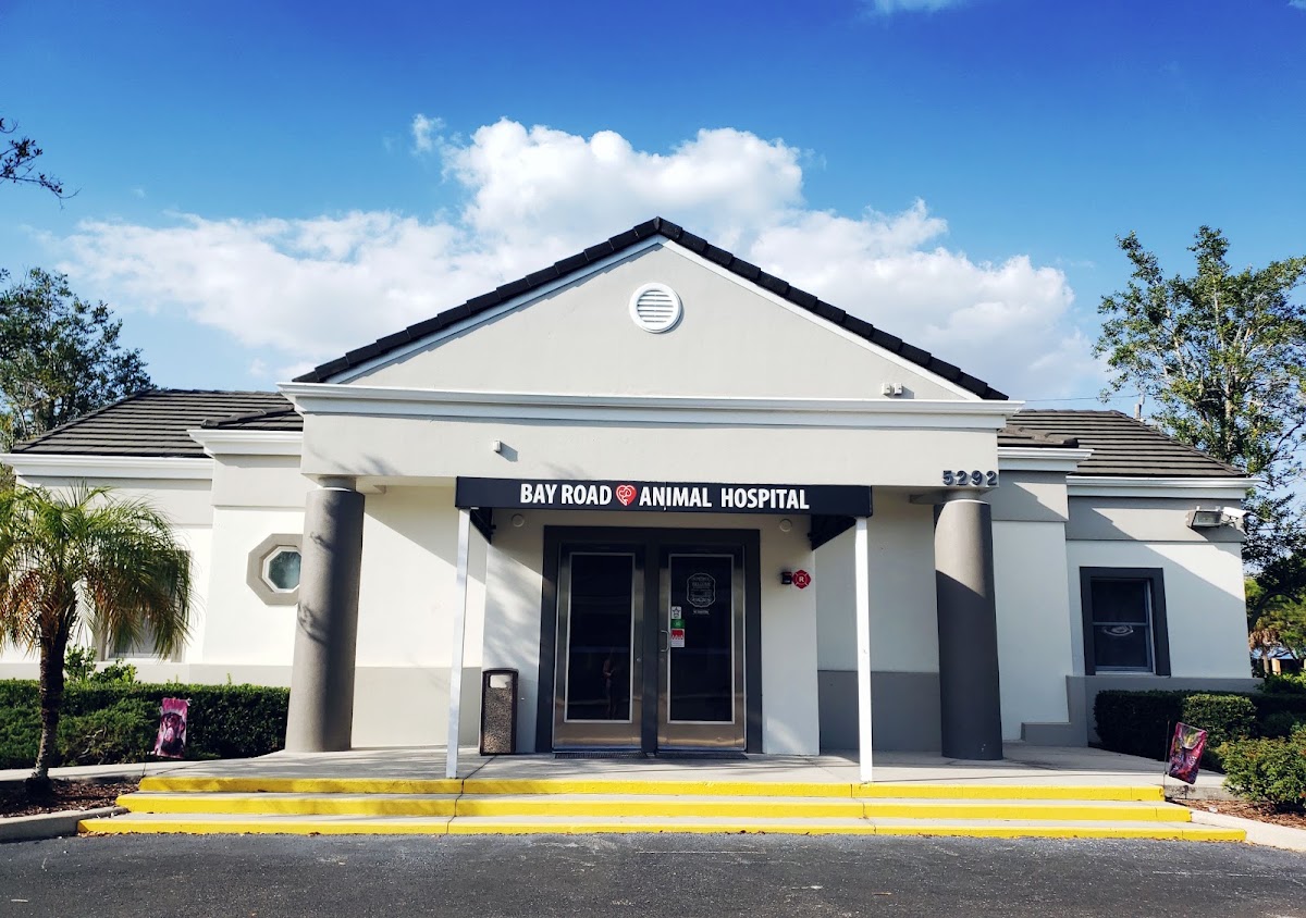 Bay Road Animal Hospital in Lakewood Ranch, FL