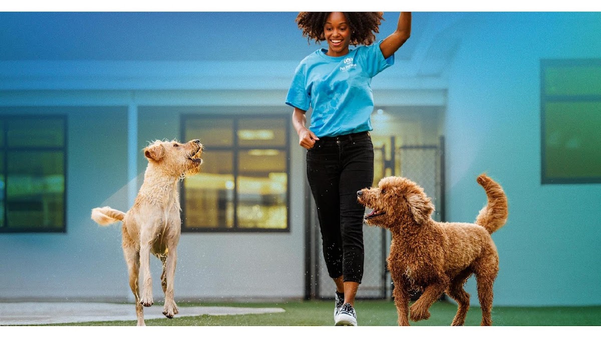 Pet Paradise Lakewood Ranch in Lakewood Ranch, FL