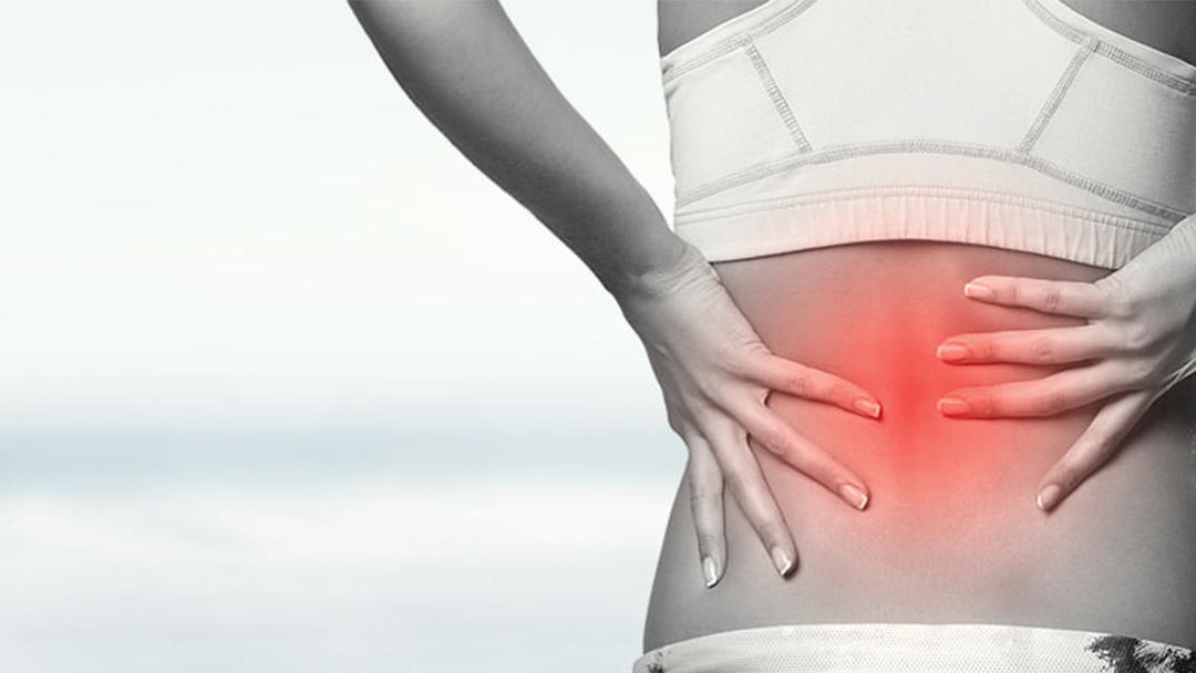 Lakewood Ranch Chiropractic in Lakewood Ranch, FL