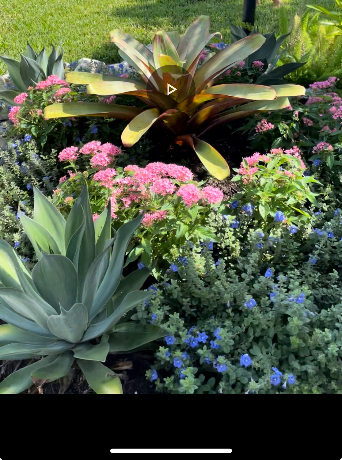 Cayo Coco Landscaping LLC in Lakewood Ranch, FL