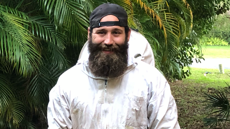 Sarasota Bee Removal Inc - Bee Removal, Bee Control, Honey Bee Removal, Wasp, Hornet, Yellow Jacket in Lakewood Ranch, FL