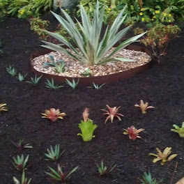 Newscape Lawn care and Landscaping LLC in Lakewood Ranch, FL