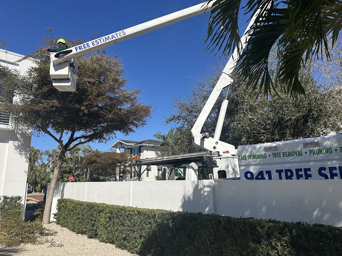 941 Tree Services LLC in Lakewood Ranch, FL