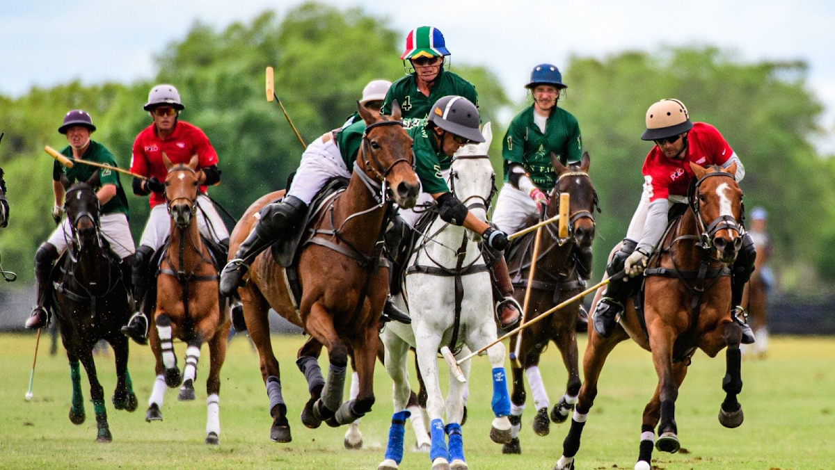 Sarasota Polo Club in Lakewood Ranch, FL