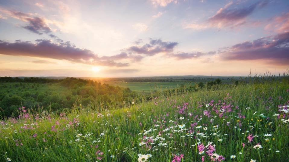 LifeStream Family Medicine in Lakewood Ranch, FL