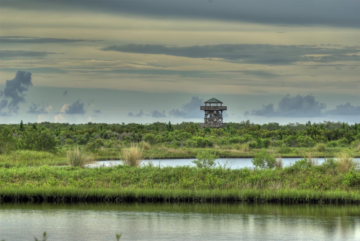 Robinson Preserve in Lakewood Ranch, FL