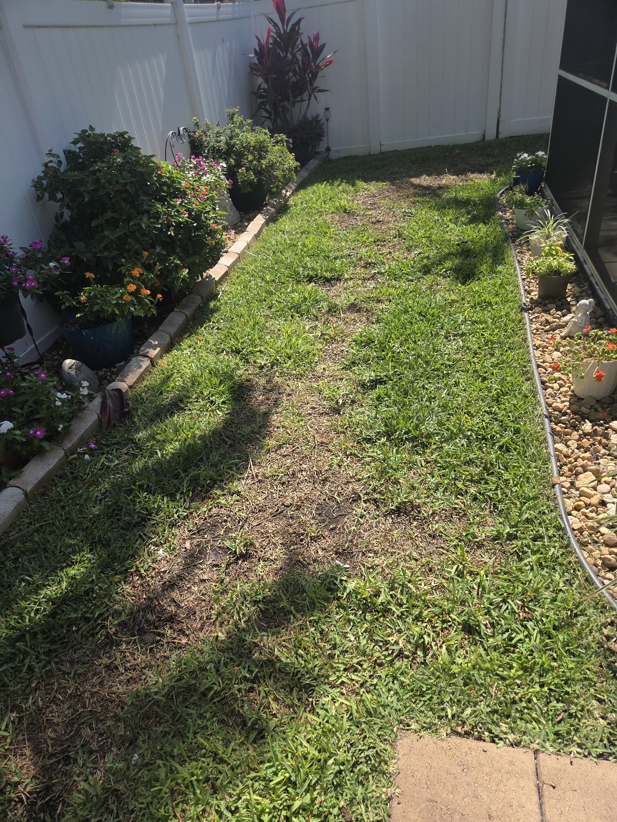 Farrow Pest Services in Lakewood Ranch, FL