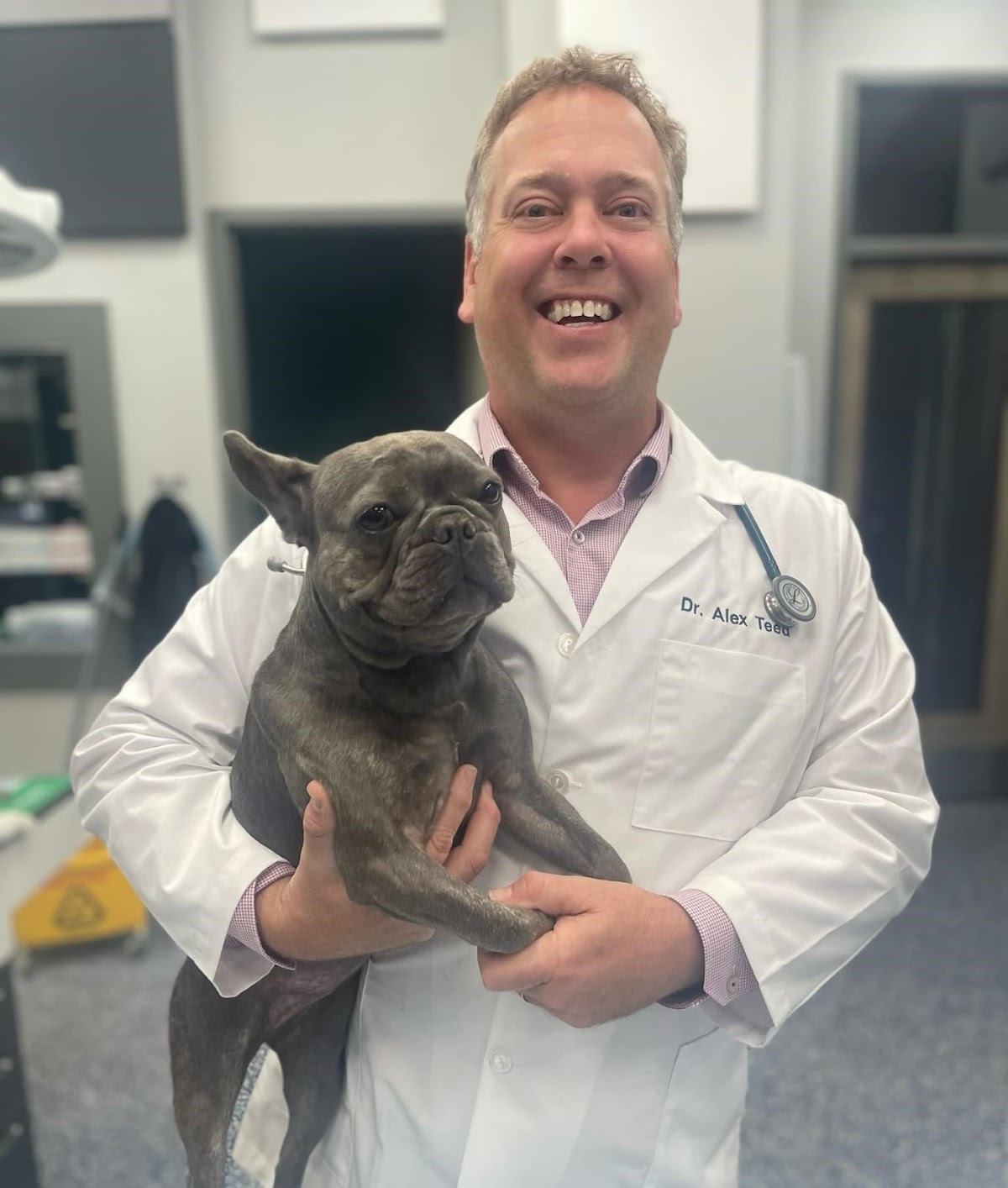 Keystone Animal Hospital in Lakewood Ranch, FL