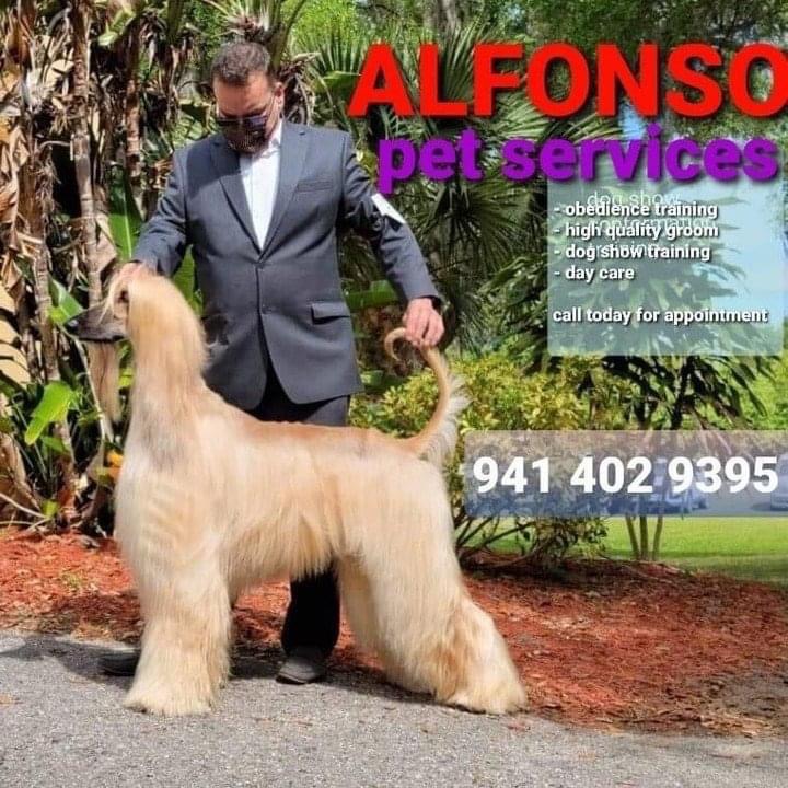 ALFONSO’S DOG MOBILE GROOMING in Lakewood Ranch, FL