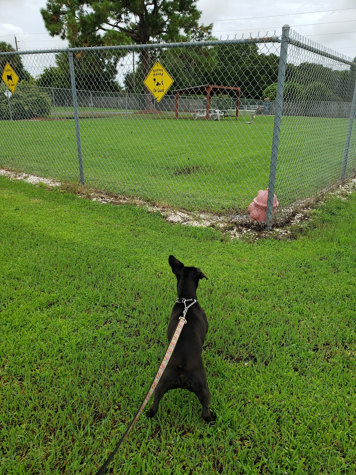Hagan's Pet Resort & Animal Clinic in Lakewood Ranch, FL