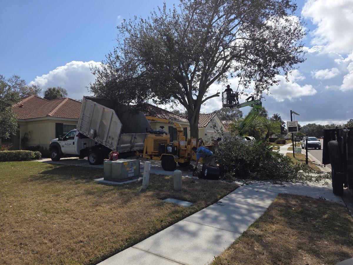 Elite Quality Tree & Stump-Grinding Llc in Lakewood Ranch, FL