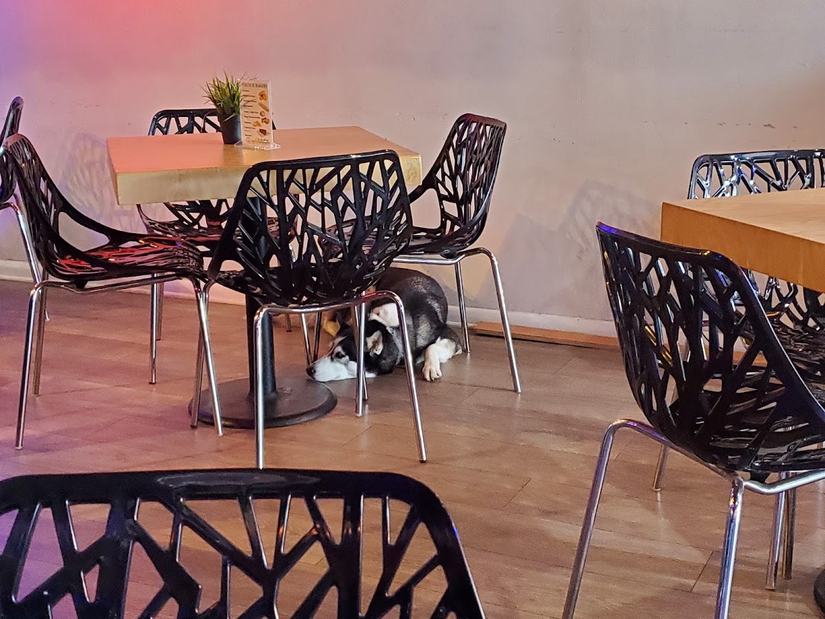 So French Café in Lakewood Ranch, FL