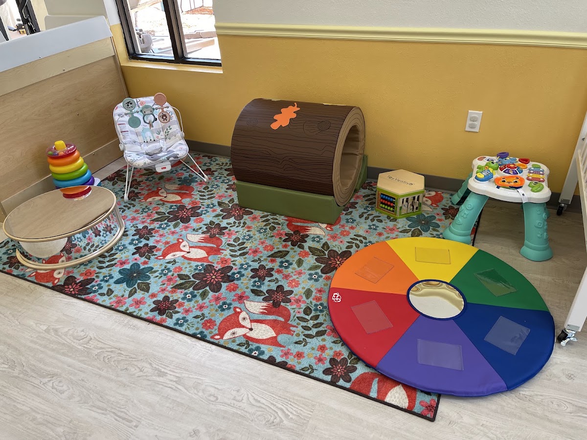 Baby Fox Academy LWR in Lakewood Ranch, FL