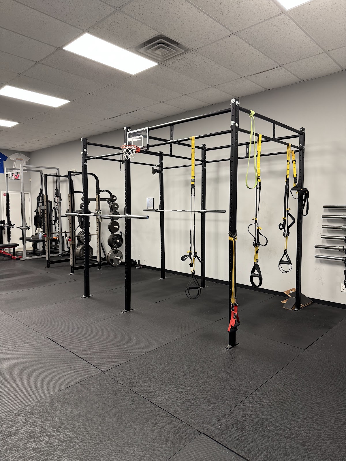 SRQ Performance Training in Lakewood Ranch, FL