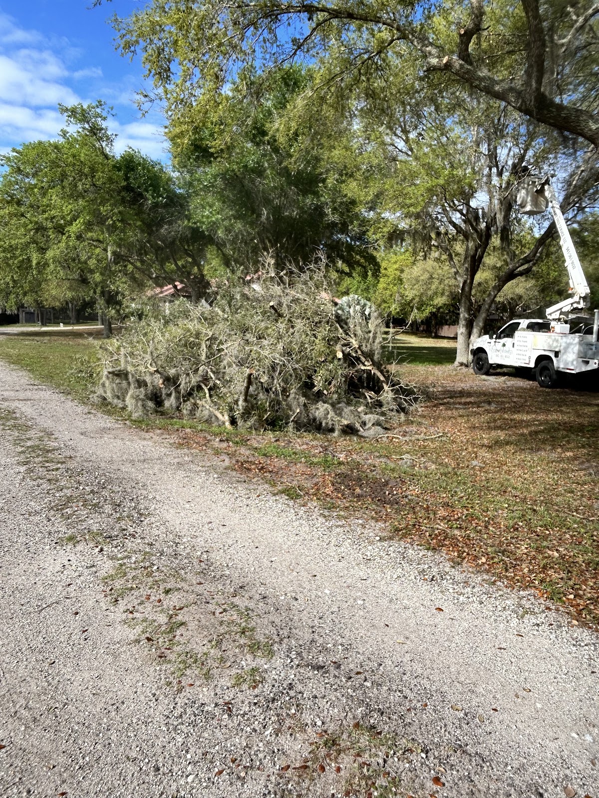 Ultimate Tree Service LLC in Lakewood Ranch, FL