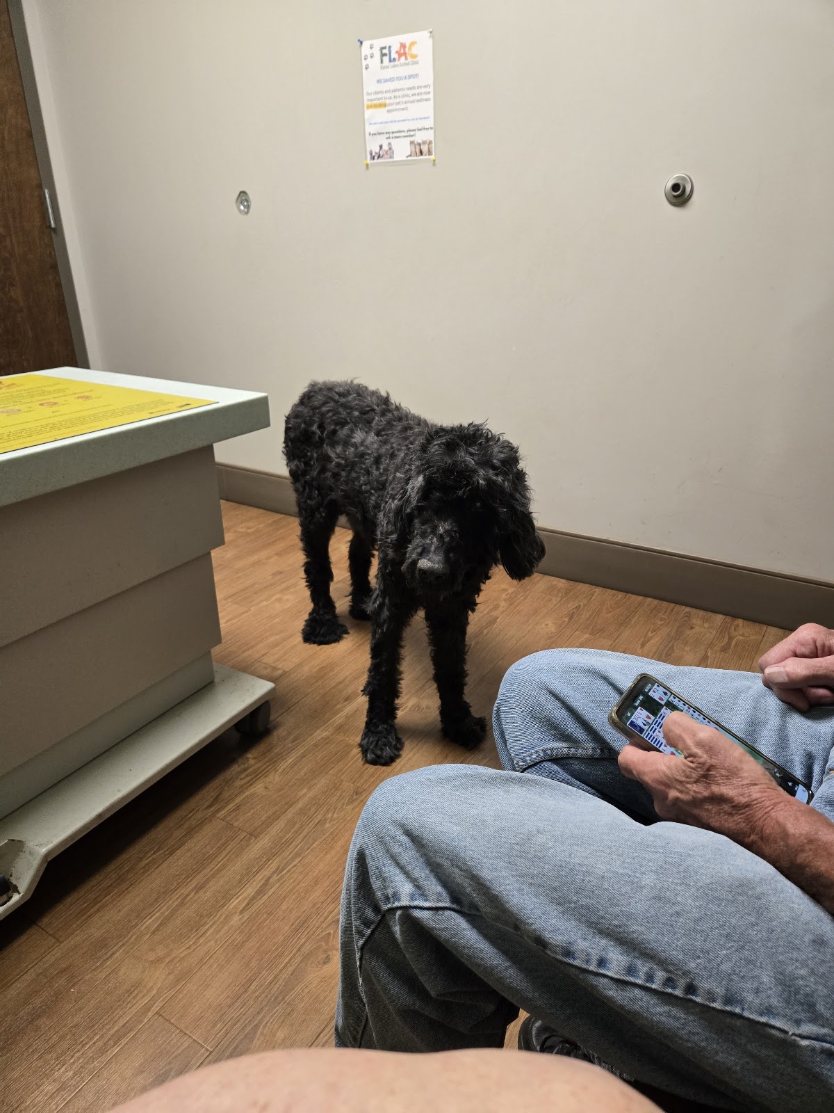 Forest Lakes Animal Clinic in Lakewood Ranch, FL