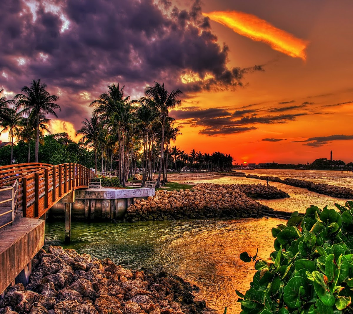 Suncoast Aquatic Nature Center Associates, Inc. in Lakewood Ranch, FL