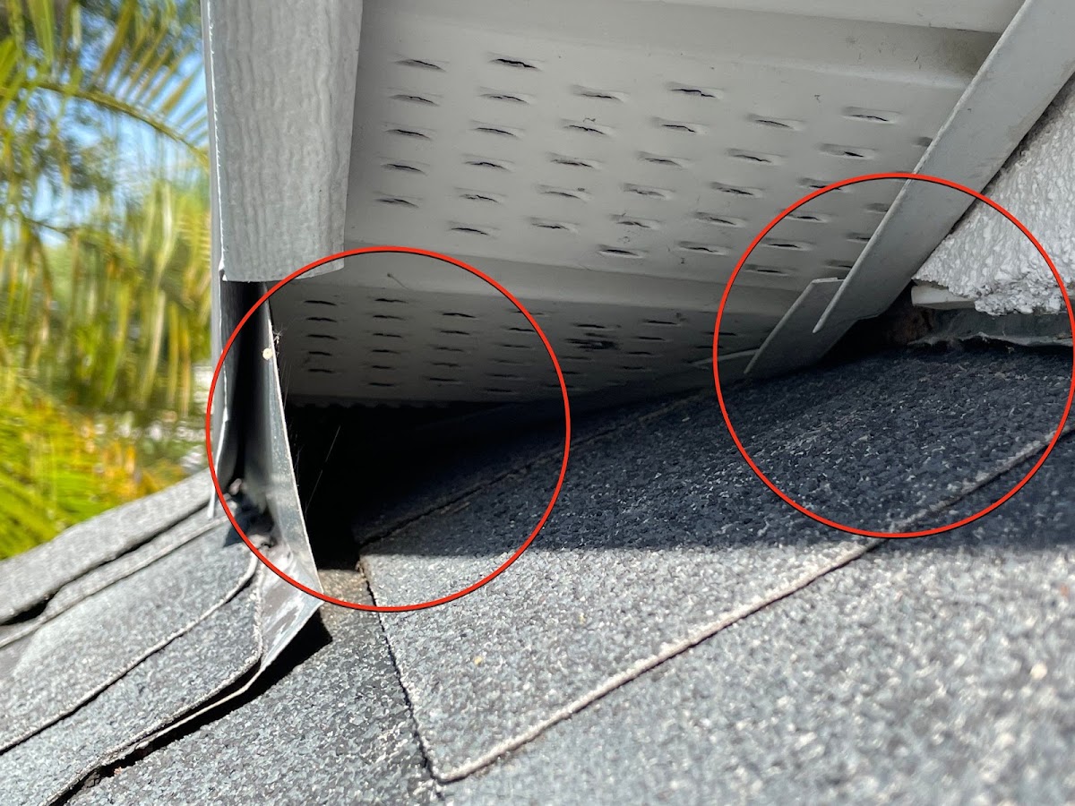 Rodent Solutions and Pest Control Lakewood Ranch in Lakewood Ranch, FL