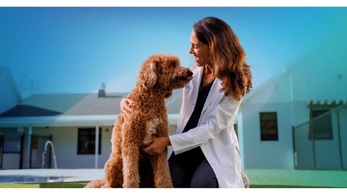 NewDay Veterinary Care Lakewood Ranch in Lakewood Ranch, FL