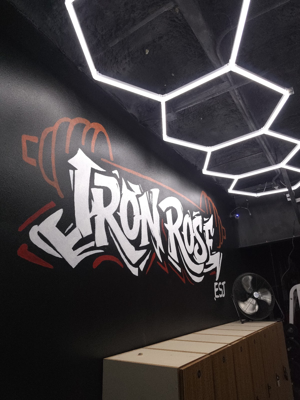 Iron Rose Fitness in Lakewood Ranch, FL