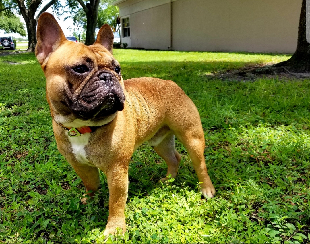 River Landings Animal Clinic in Lakewood Ranch, FL