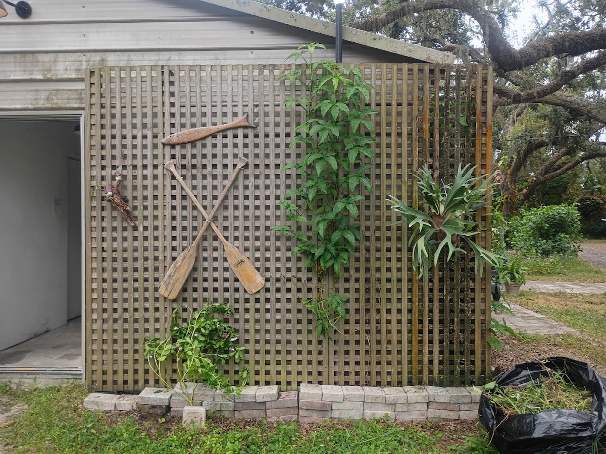 Dream Lake Farm Camp in Lakewood Ranch, FL