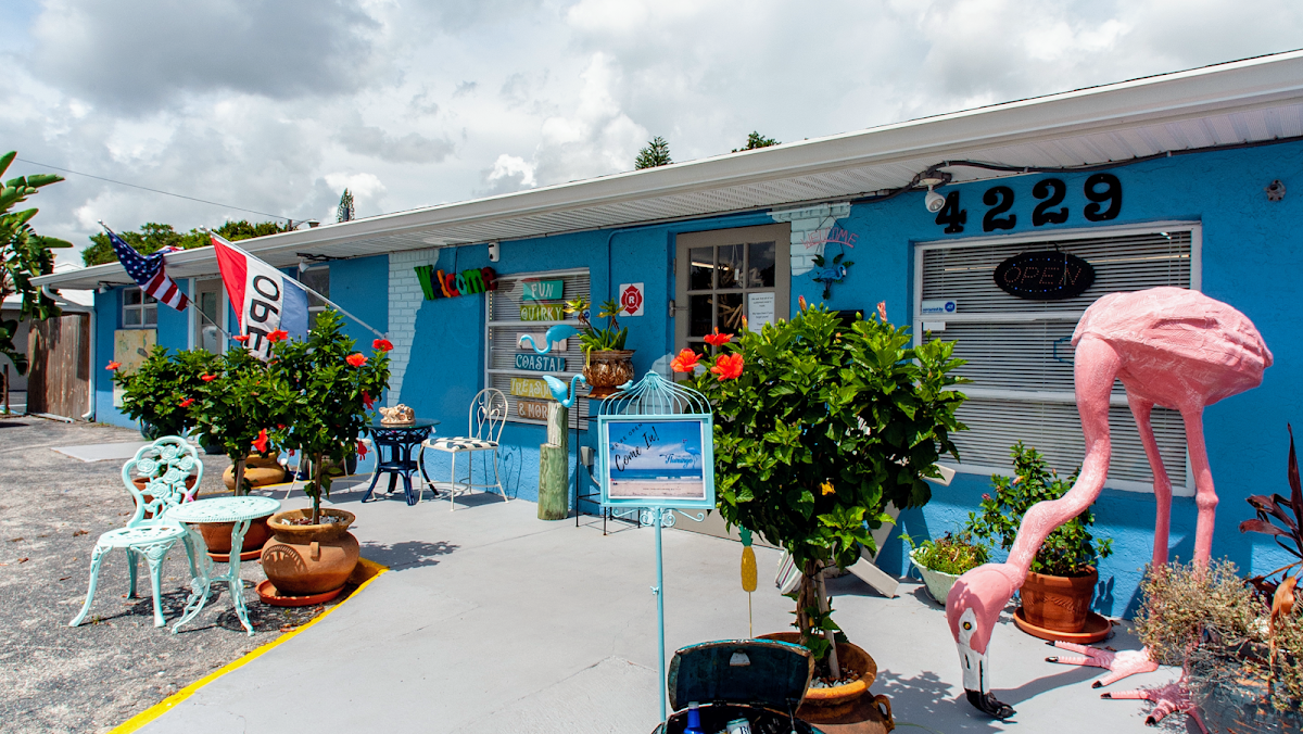 The Blue Flamingo in Lakewood Ranch, FL