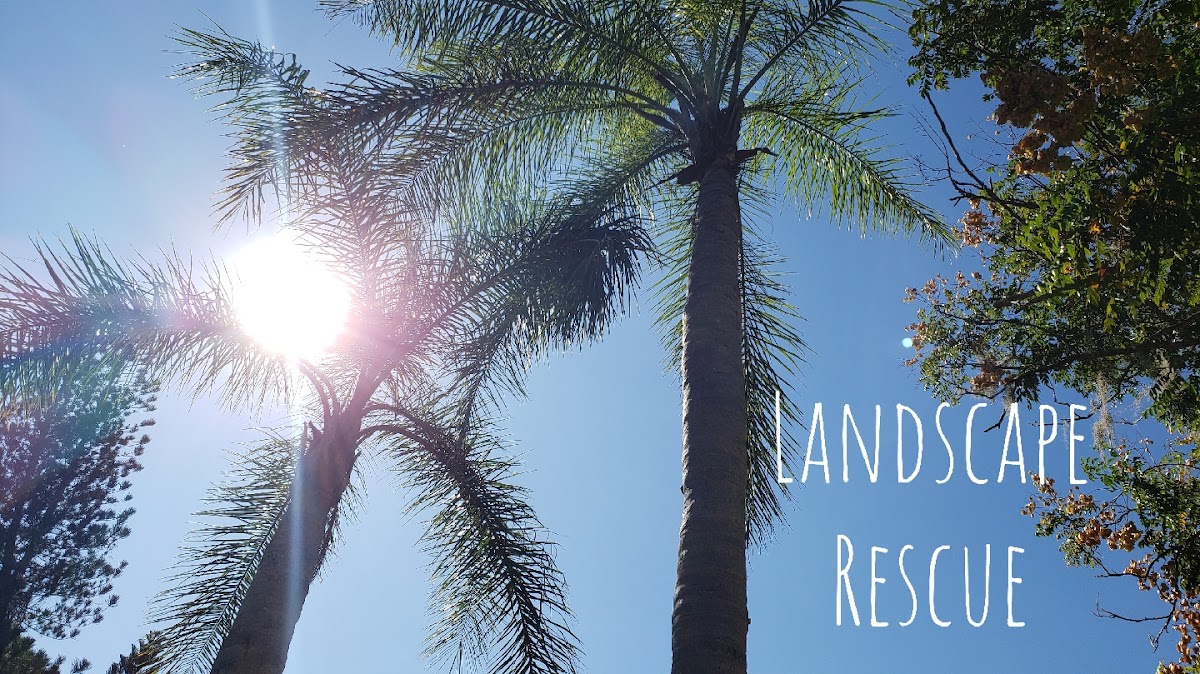 Landscape Rescue & Lawn Maintenance LLC in Lakewood Ranch, FL