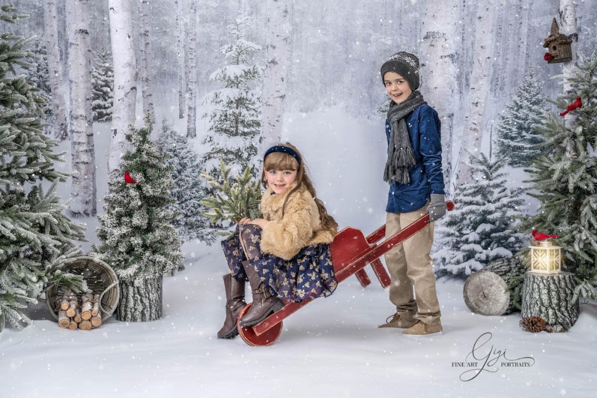 Gigi Fine Art Portraits in Lakewood Ranch, FL