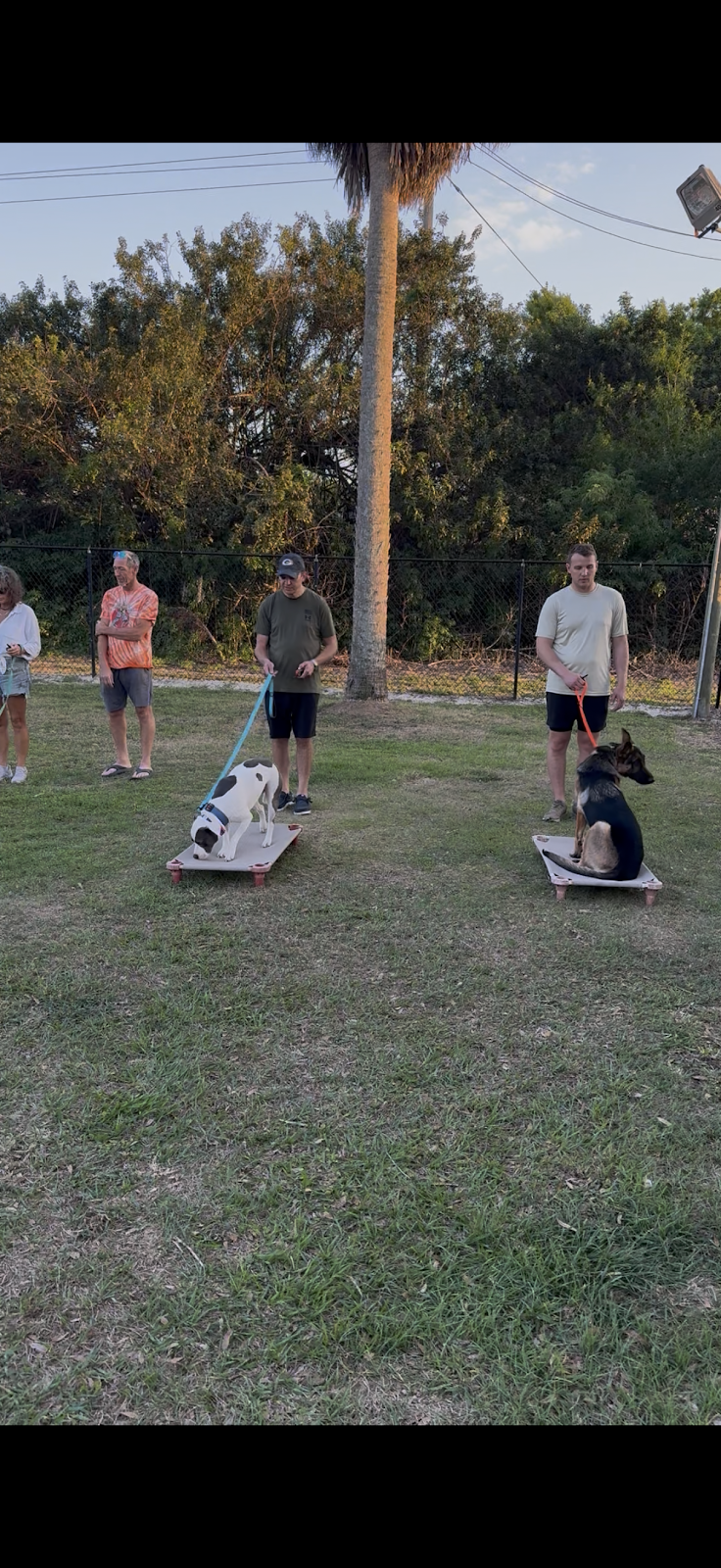 The K9 Coach FL in Lakewood Ranch, FL