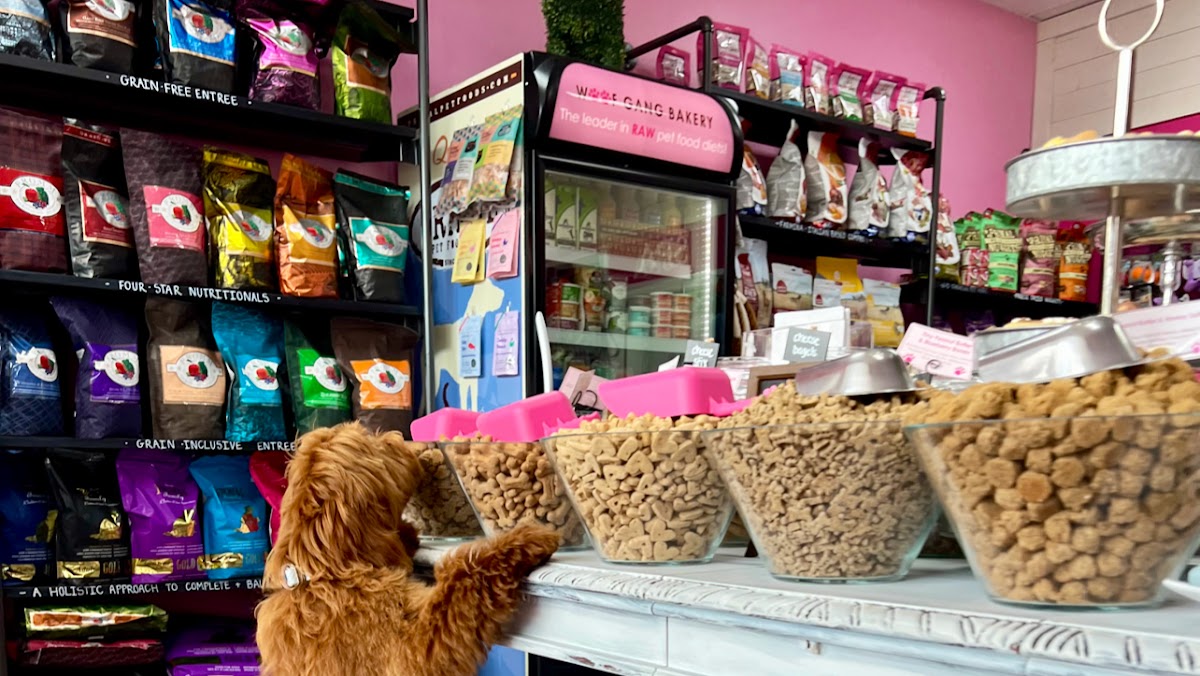 Woof Gang Bakery & Grooming Lakewood Ranch in Lakewood Ranch, FL