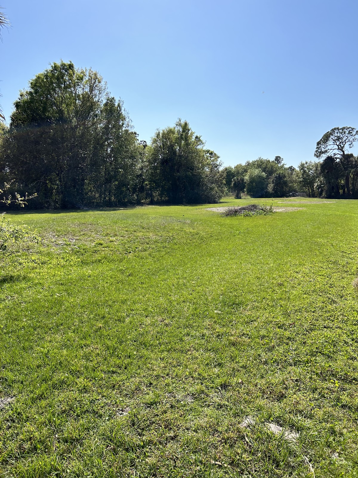 Culverhouse Nature Park in Lakewood Ranch, FL