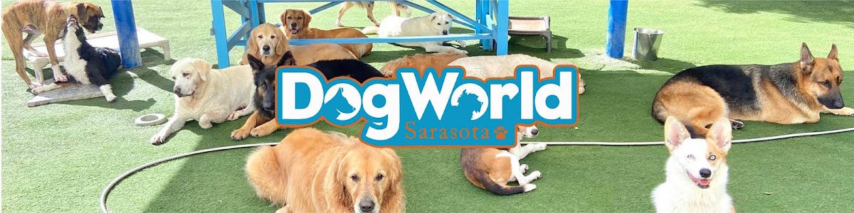 Dog World Sarasota in Lakewood Ranch, FL