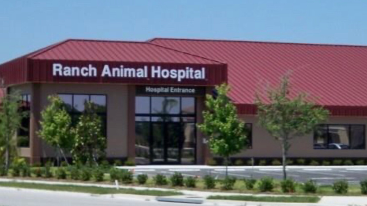 Ranch Animal Hospital in Lakewood Ranch, FL