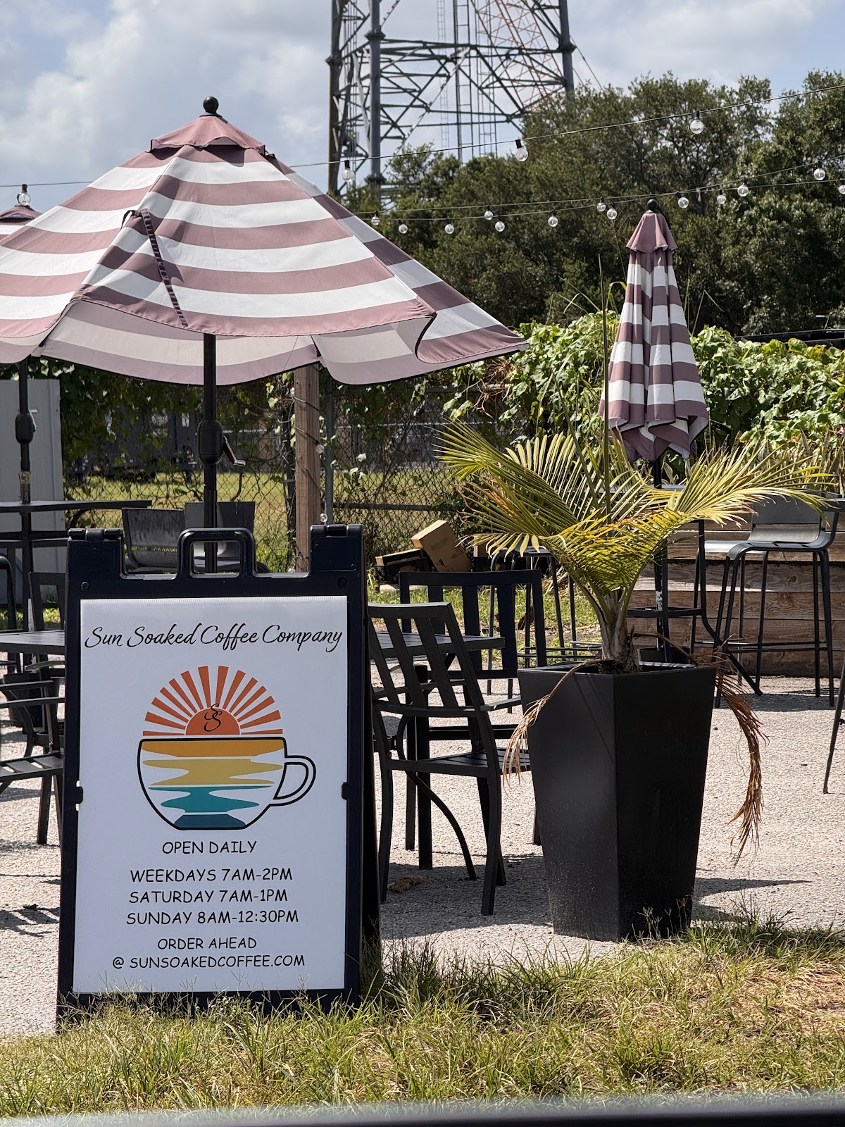 Sun Soaked Coffee Company in Lakewood Ranch, FL