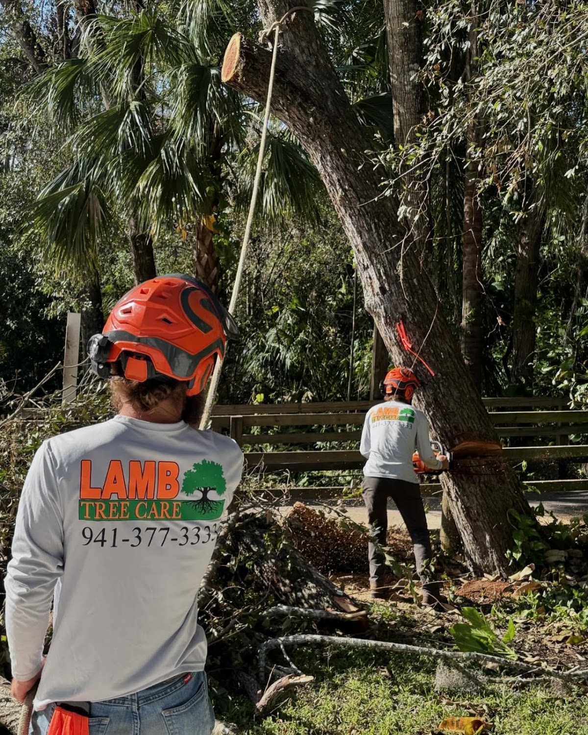 Lamb Tree Care in Lakewood Ranch, FL
