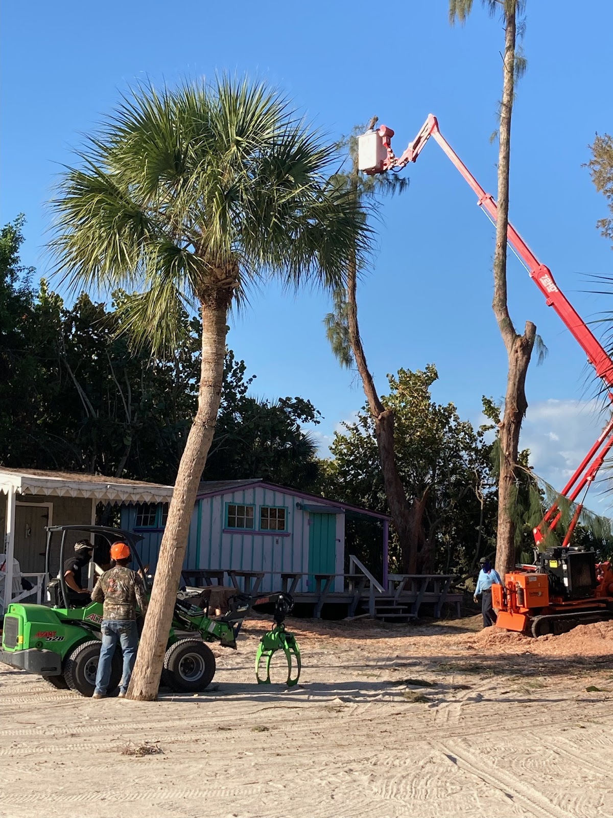 Castillo Tree & Lawn Service Inc in Lakewood Ranch, FL