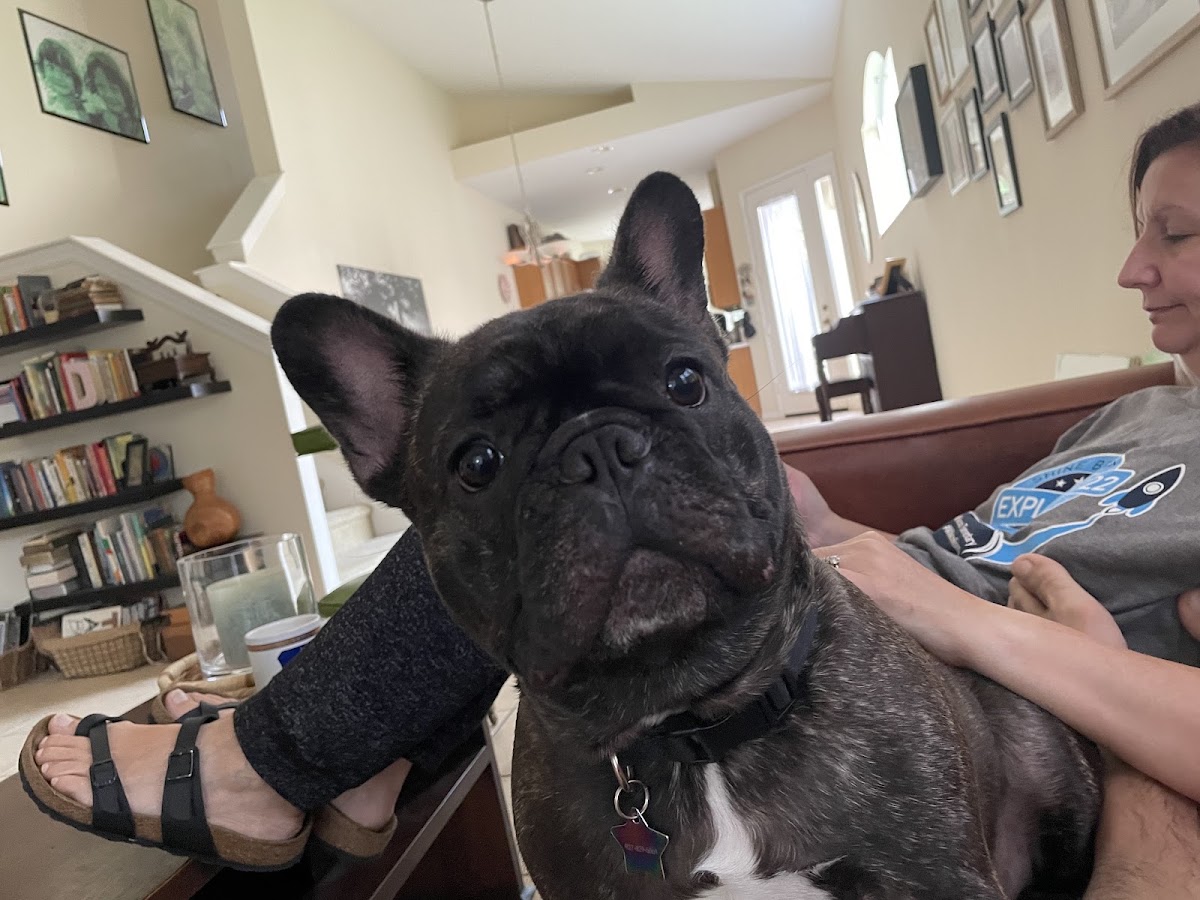 Braden River Animal Hospital in Lakewood Ranch, FL